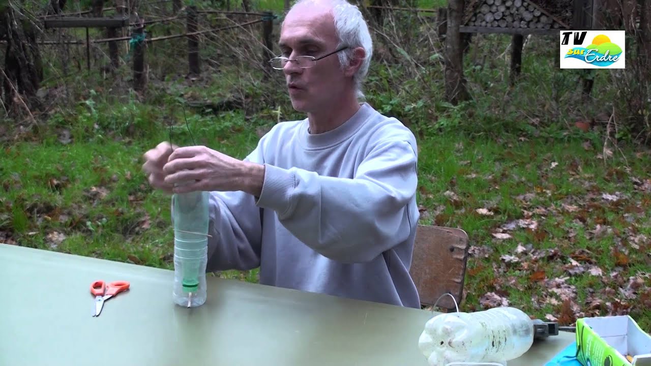 mangeoire pour oiseaux