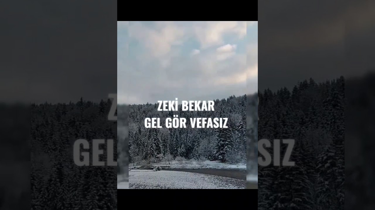 ZEKİ BEKAR (GEL GÖR VEFASIZ)