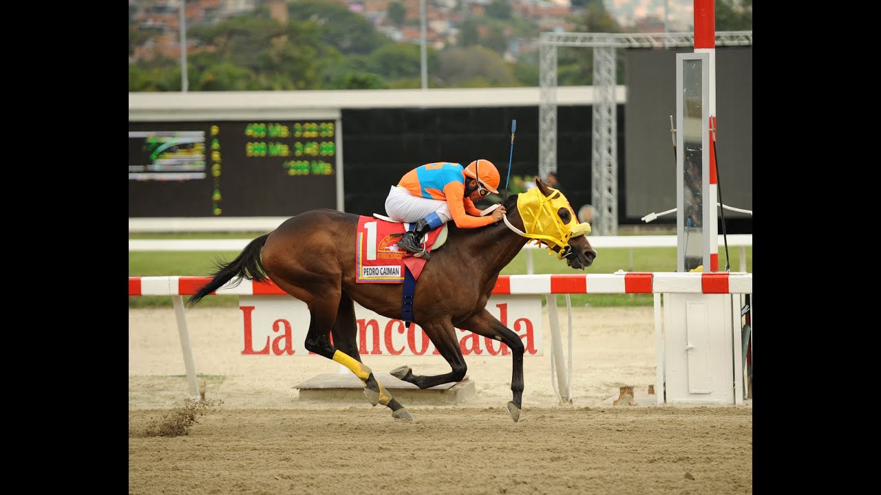 Copa Confraternidad 2014 - Don Carlos R. (PUR)