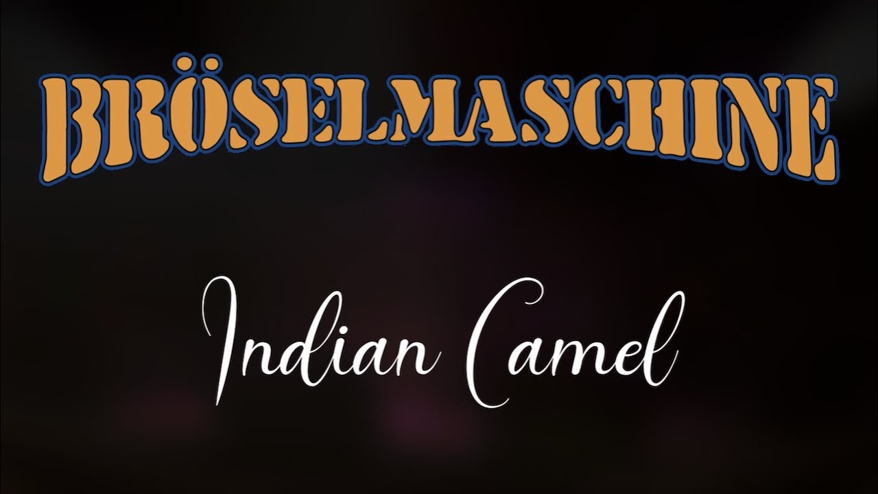 BRÖSELMASCHINE - Indian Camel | Live in Köln 2020