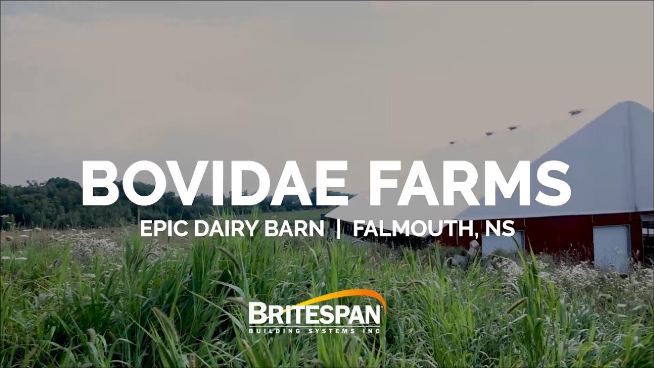Fresh air. Bright light. More milk.