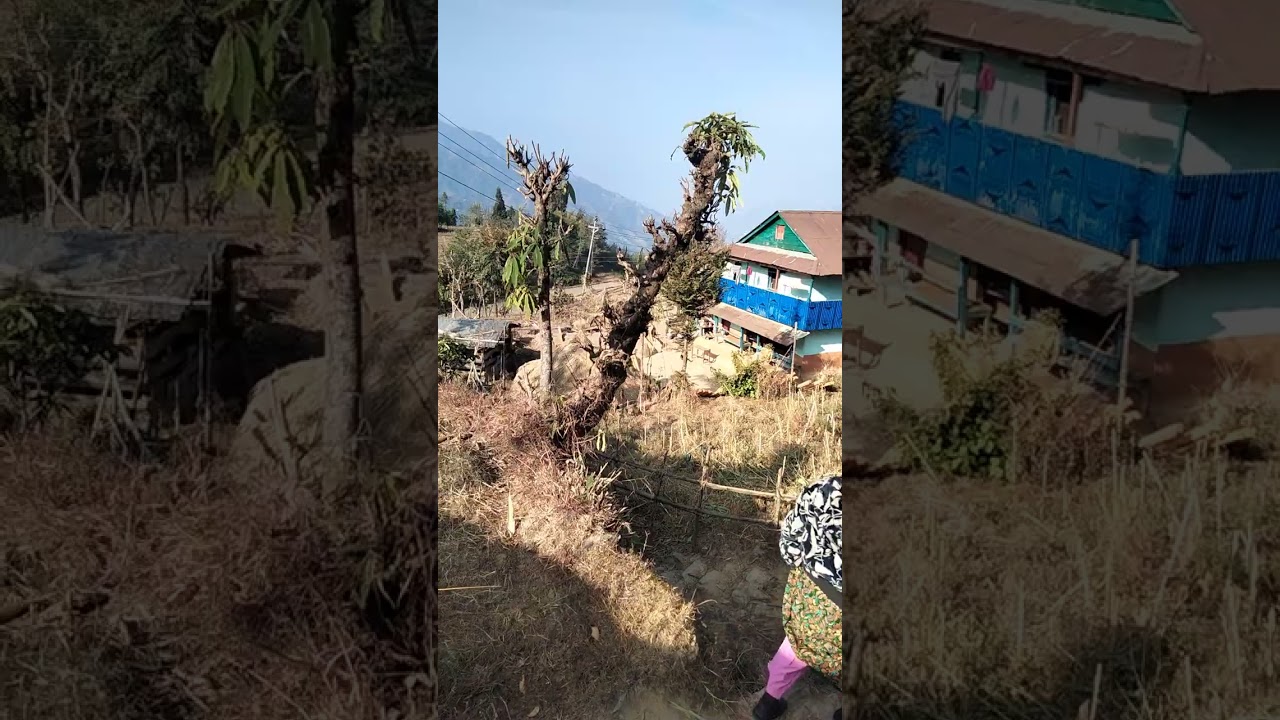 गाउँ घरै रमाईलो गाउँ को रहन सहन गोरेटो कुलो गाउँ ले हरु गाउँ को घर अनि आमैको गफ रमाइलो पो भयो 