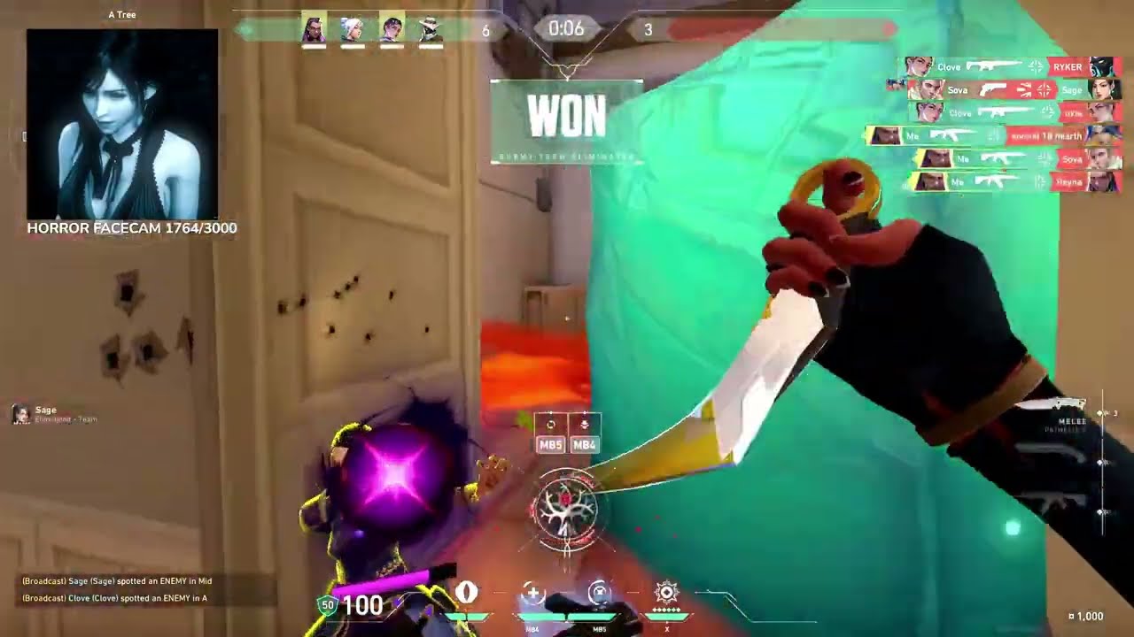 VCT + radiant aimers (flor, ion2x, w00t, cane)