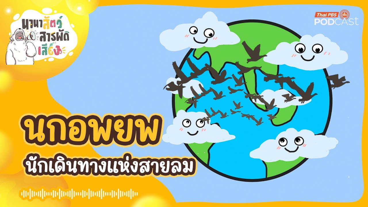 นกอพยพ นักเดินทางแห่งสายลม | นานาสัตว์สารพัดเสียง