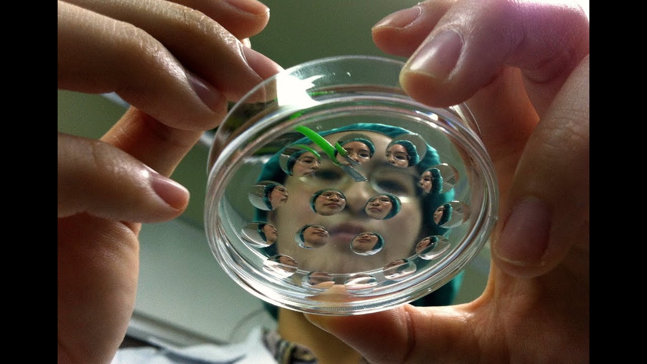 Stem cells produced from cloning technique