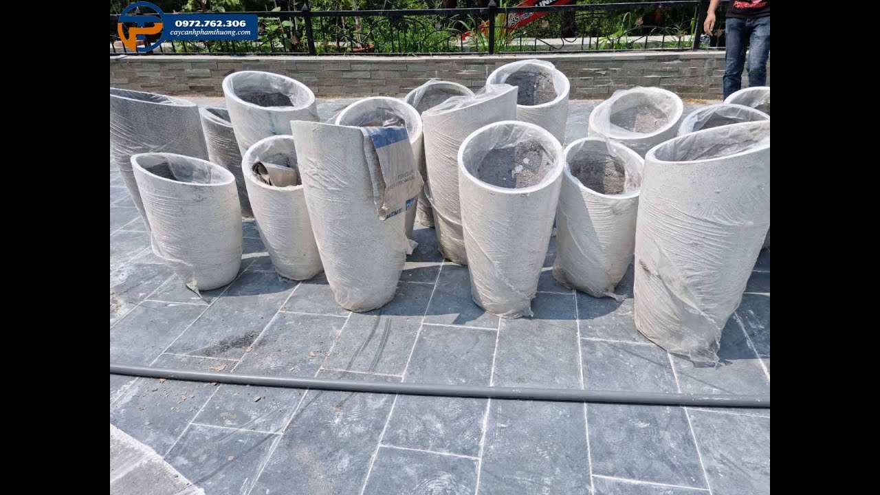 Chậu xi măng đá mài | Chậu xi măng siêu nhẹ trồng cây Cây Cảnh Phạm Thương