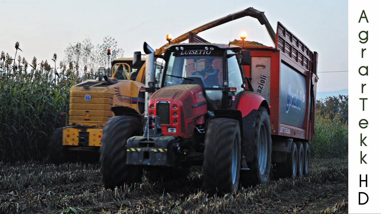New Holland FX38 (550 HP), Same Iron 220 DCR, Same Iron 210 DCR - Sorghum Silage 2015