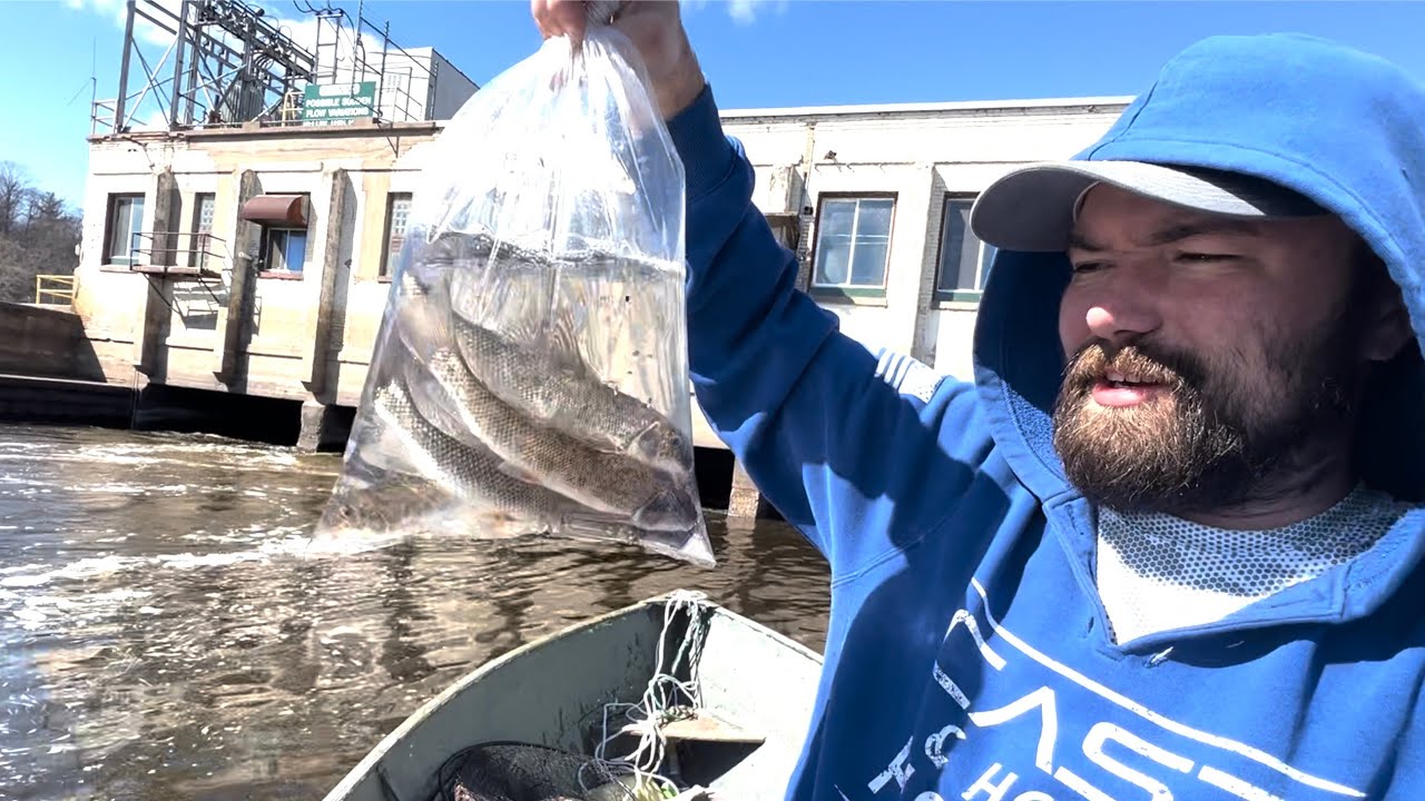 Fishing Giant Spillway With Cut Bait (GOT SOME BIG ONES)
