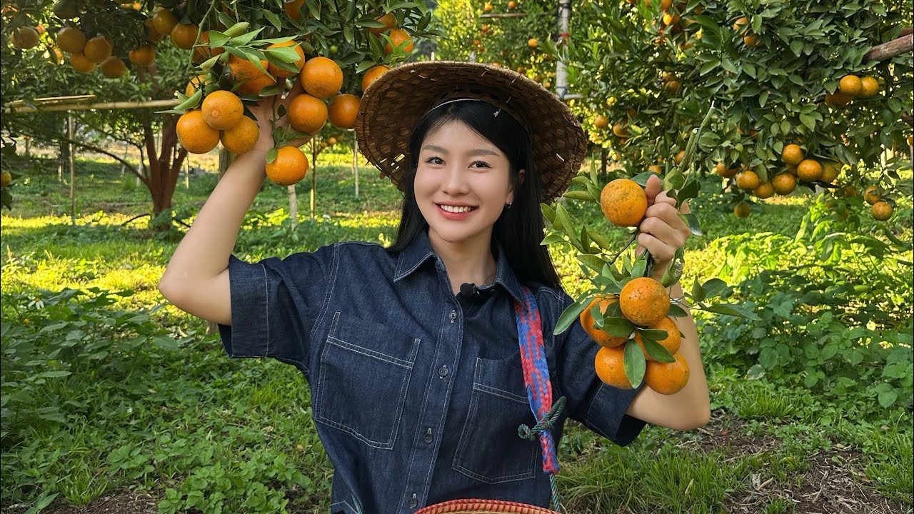 ส้มสายน้ำผึ้งจากบนดอย ที่ไม่ควรพลาด สั่งเลย! 🍊✨🫶