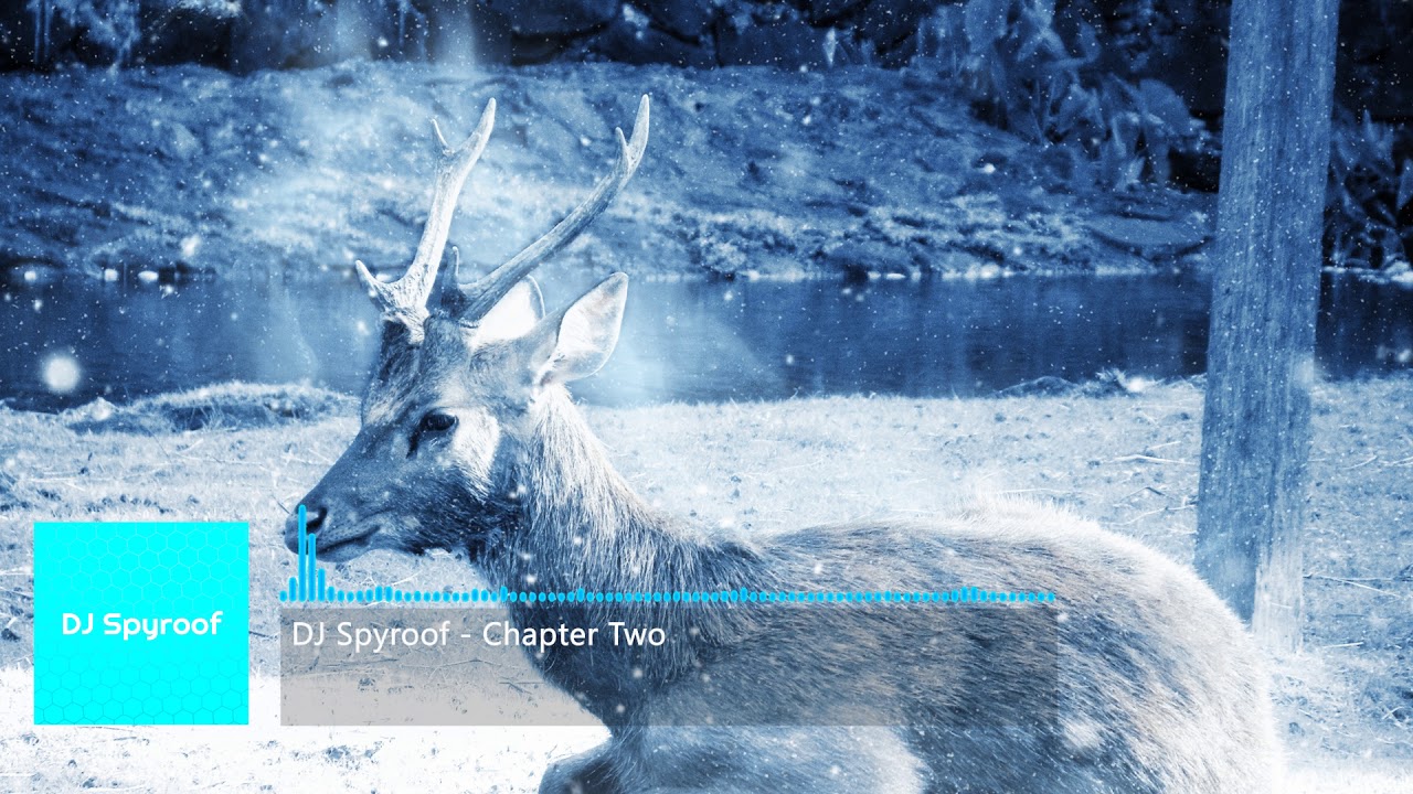 DJ Spyroof - Chapter Two