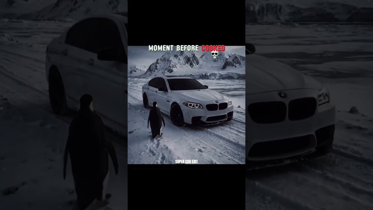 MOMENT BEFORE COOKER AFTER 🥶bmw and pegwin edit best song an edit 🤩