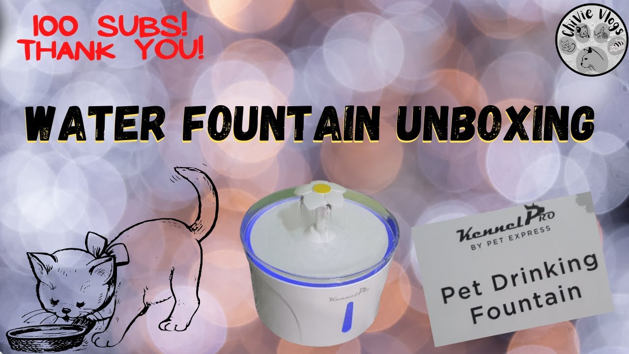 Kennel Pro by Pet Express Pet Drinking Fountain | Vlog #28 | ChiVie Vlogs