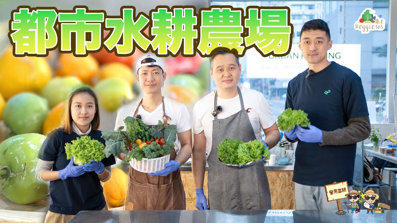《營男當耕》：都市水耕農場，不受季節天氣影響，全天候種出巨大化蔬菜！| 中文字幕
