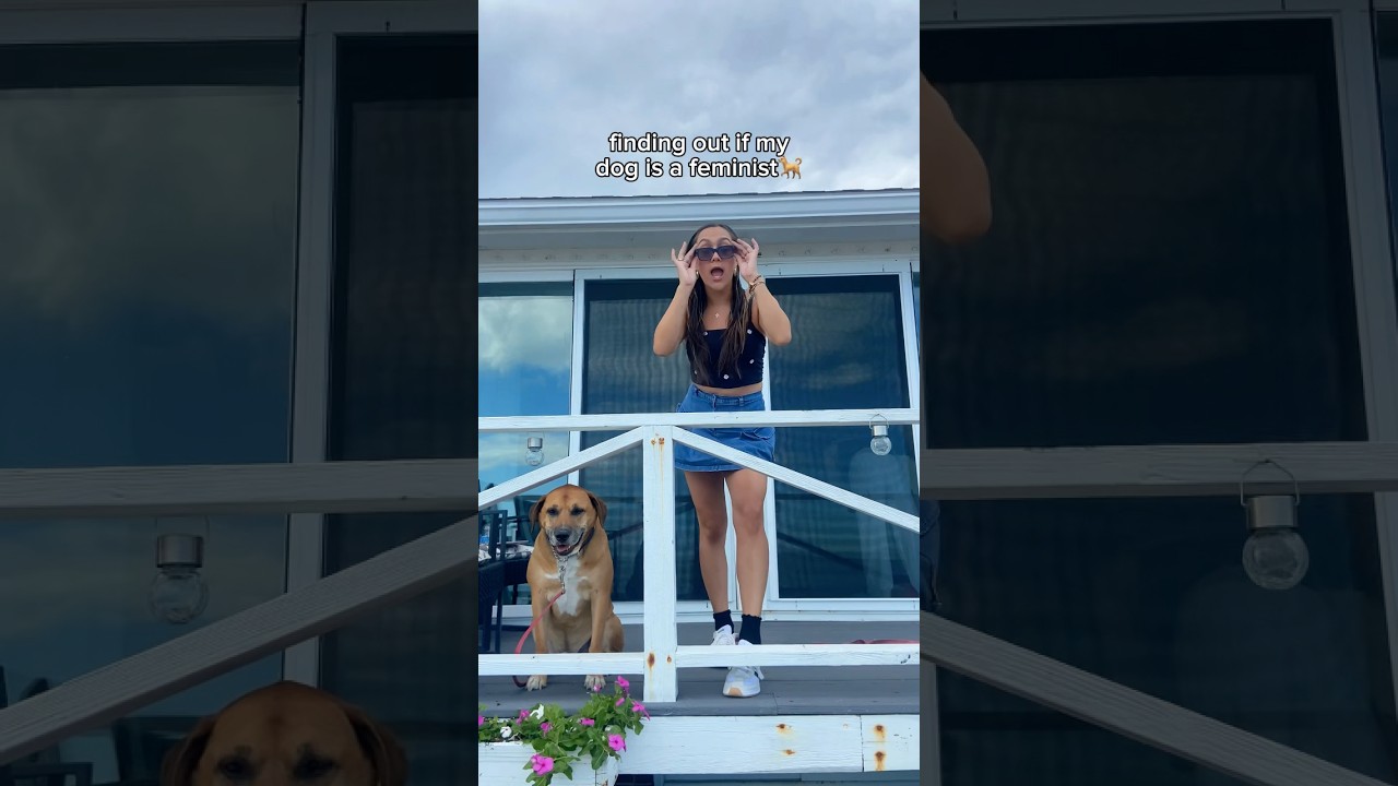 finding out if my dog is a feminist🐕 #dog #shorts #feminist #songwriter #reactionvideo #dogvideos