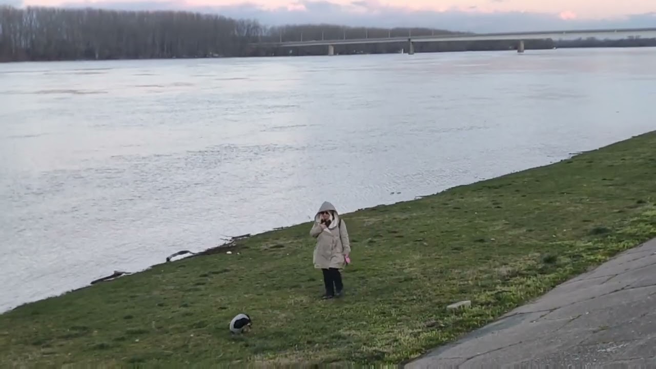 Savojla tudej 24.februar 2026