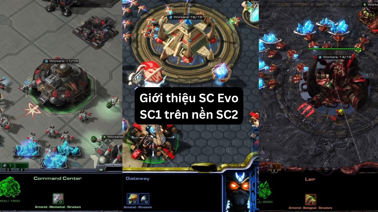 [Starcraft 2] Giới thiệu SC:Evo - SC1 tr&ecirc;n nền SC2