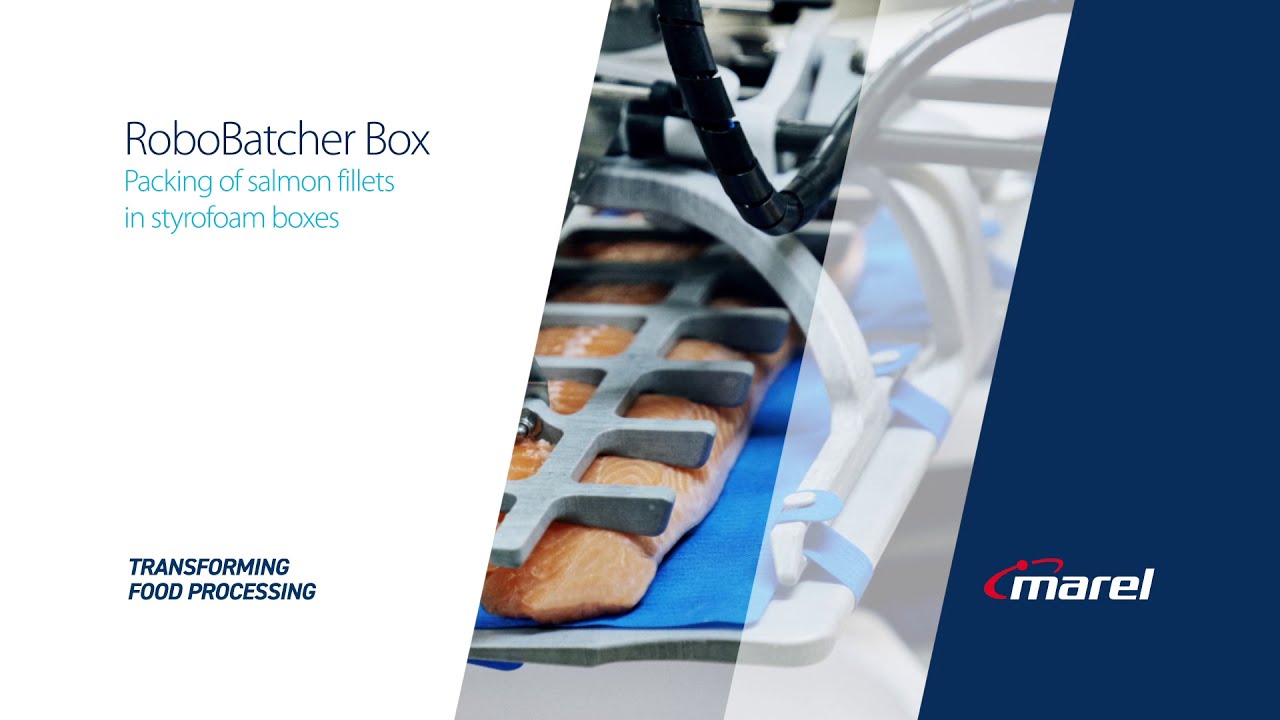 Marel launches the new RoboBatcher Box