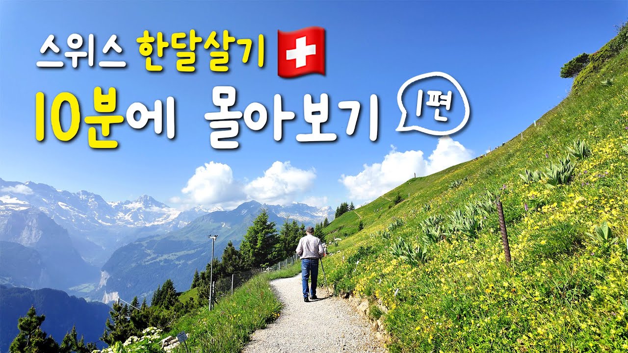 ✂️ 줄이고 줄여 11분에 담았다! 6월의 스위스 한달살기 1편 | 🇨🇭이제야 본격적으로 시작하는 여행 | 브리엔츠 | 쉬니케플라테 | 하더쿨름 | 베른 | 루체른 | 아트바젤