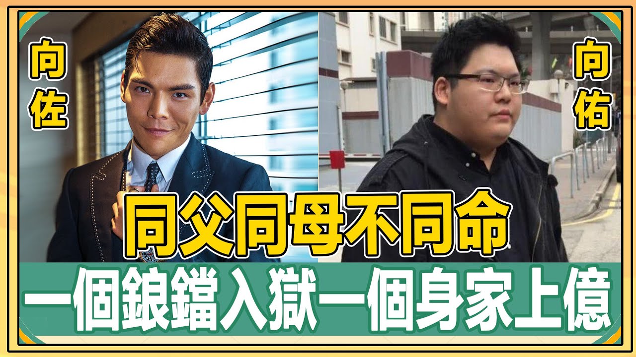 同父同母不同命，弟弟被親爹送進監獄不聞不問，哥哥身家上億兒女雙全成人生贏家！【娛人不閑】#向華強#向佐#向佑#向太#陳嵐