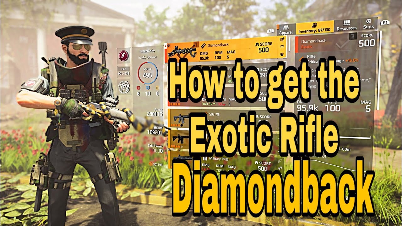 the division 2 - How to get Exotic Rifle Diamondback