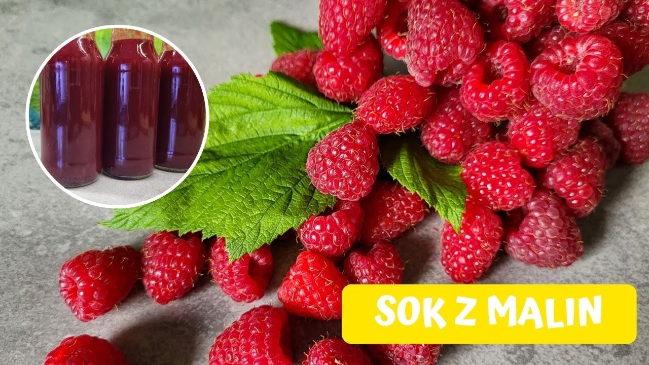 Sok malinowy – jak go przygotować i w jakim celu go stosować? 🍷🍷🍷