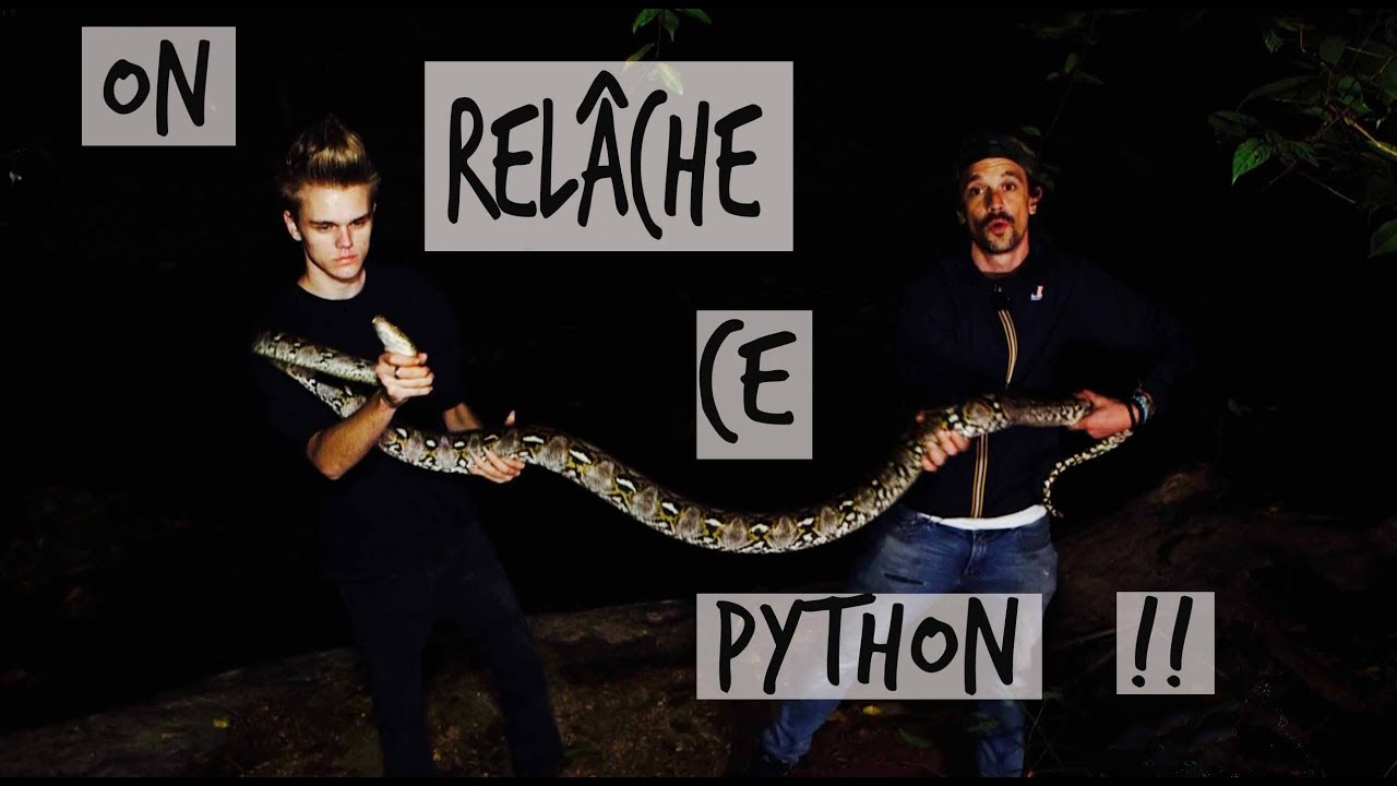 ON RELACHE DES SERPENTS DANS LA FORET !! - HERPING TOOPET FEAT DAVIDSFEED