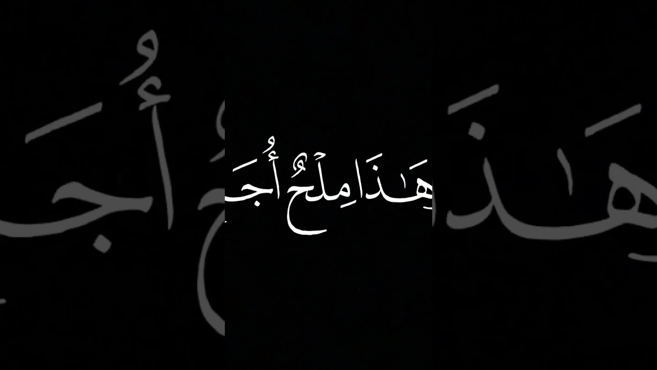 Humble recitation of Maher Almaikulai #islam #quran #muslim #muslimstatus #religiouspractice #surah