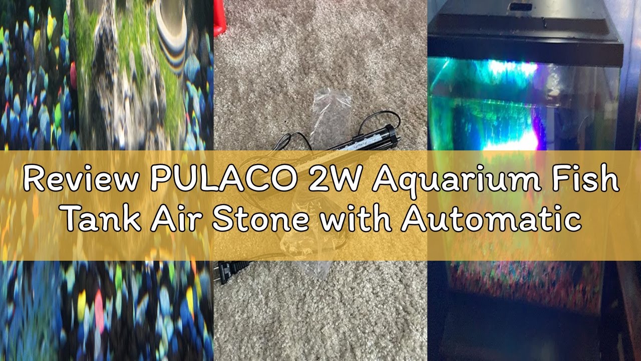 Review PULACO 2W Aquarium Fish Tank Air Stone with Automatic Color Changing LED Light (Length -10