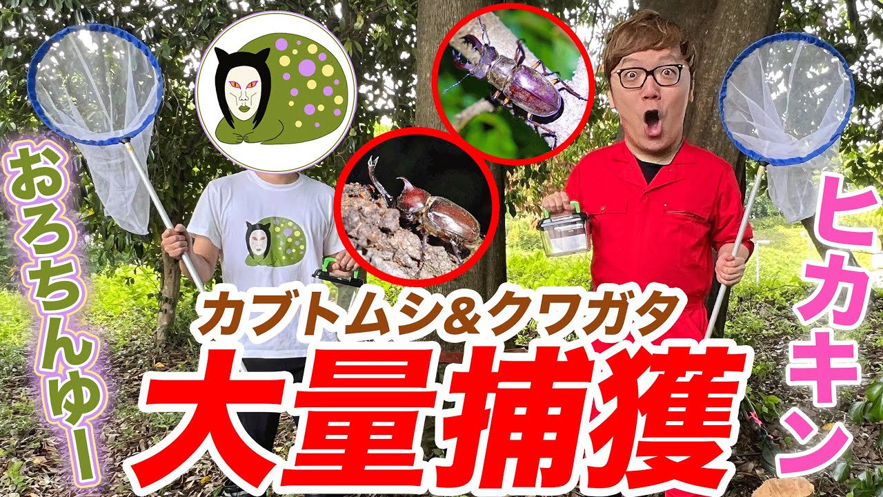 ヒカキン×おろちんゆーで本気の虫取り&森林伐採で奇跡が!?