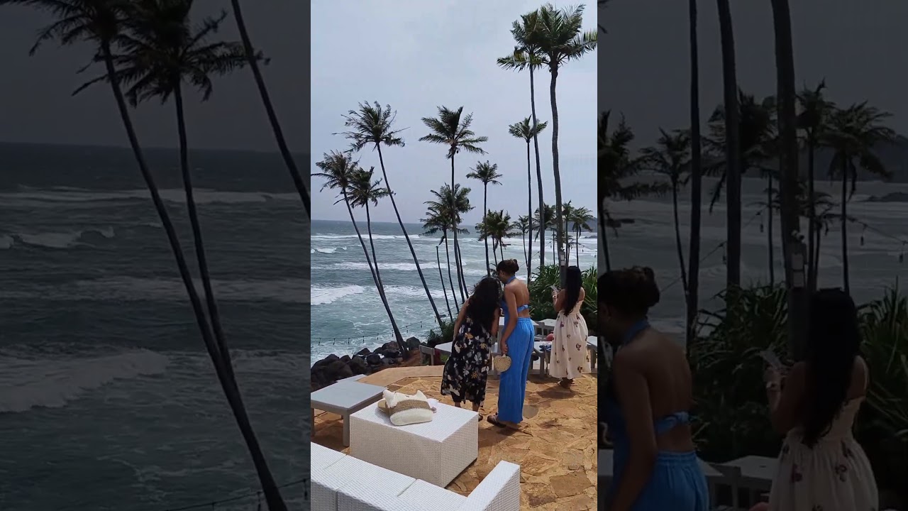 Coconut Tree Hill in Sri lanka 2025. #srilanka #srilankatravel #shortvideo #coconuthill #mirissa
