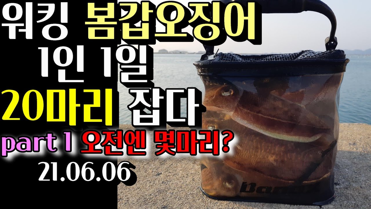 [훅킹TV] 워킹봄갑오징어 하루에 20마리 잡았다!! PART 1/가을시즌처럼 잡히는 봄갑오징어 실화냐? /big cuttlefish fishing