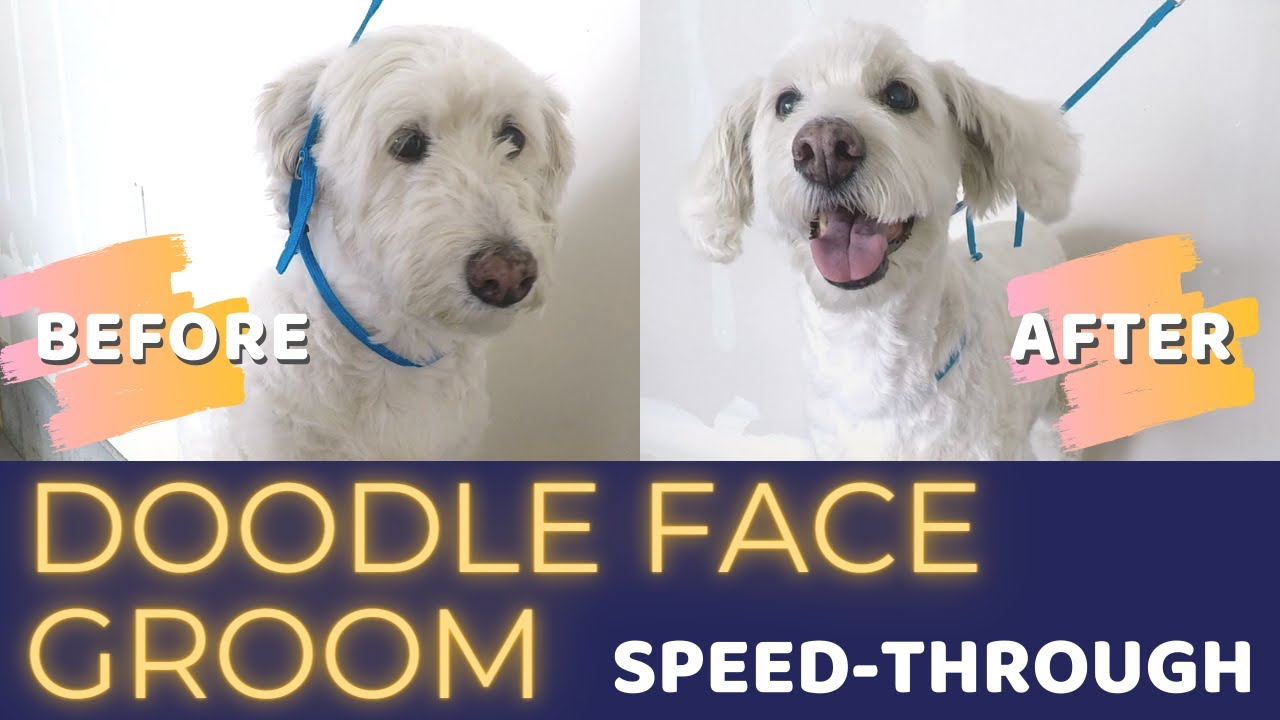 DIY Doodle Face Groom Speed-Through