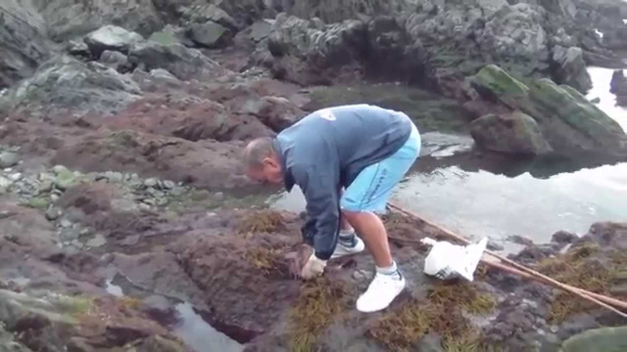 LA PESCA DEL PULPO