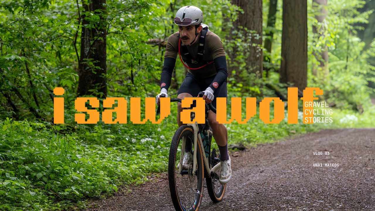 How I train for gravel cycling events in Switzerland (i see a wolf)