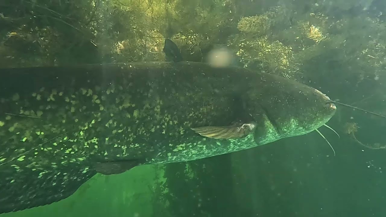 WATER WORLD