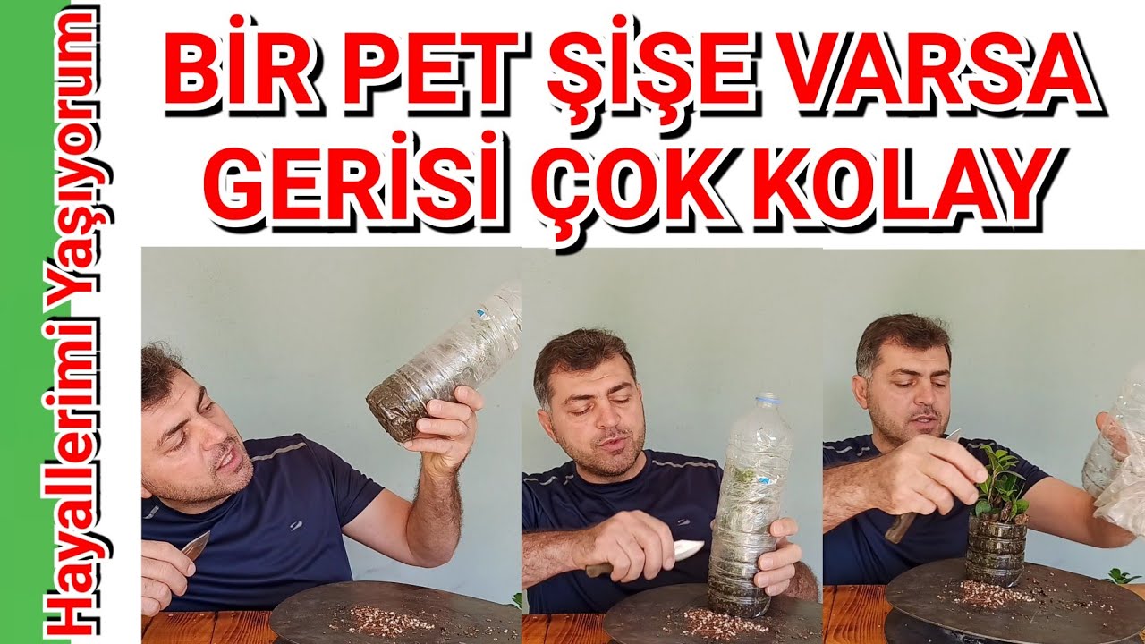 Pet Şişe ile Köklendirme