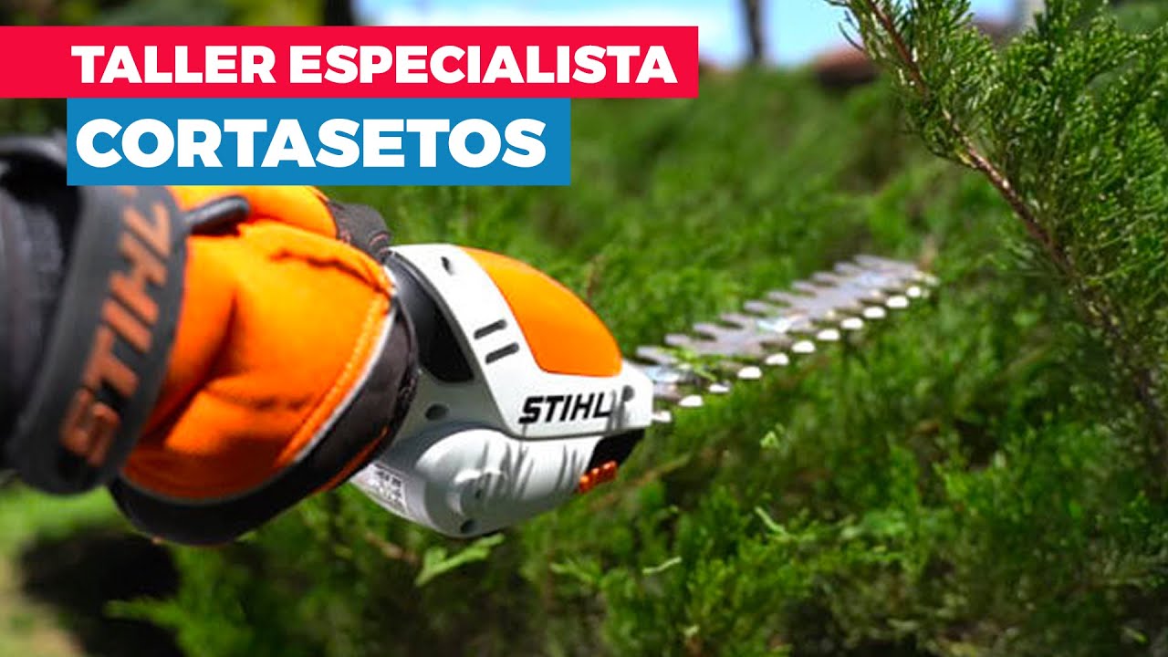 El Taller del Especialista: Cortasetos