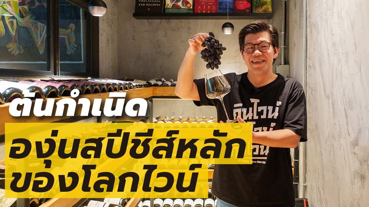 Vitis Vinifera องุ่นที่สำคัญที่สุดในโลกของไวน์ | Swirl Experience