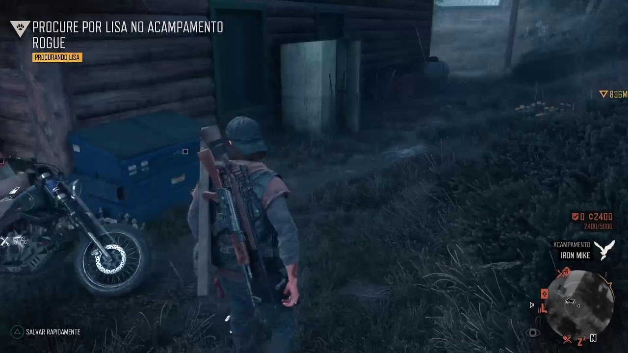 Days Gone