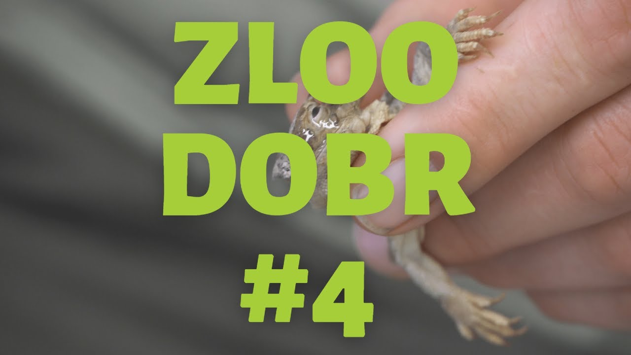 Zloo dobr z ZOO Ljubljana E4 (Kdo dela v ZOO Ljubljana - 2.del)