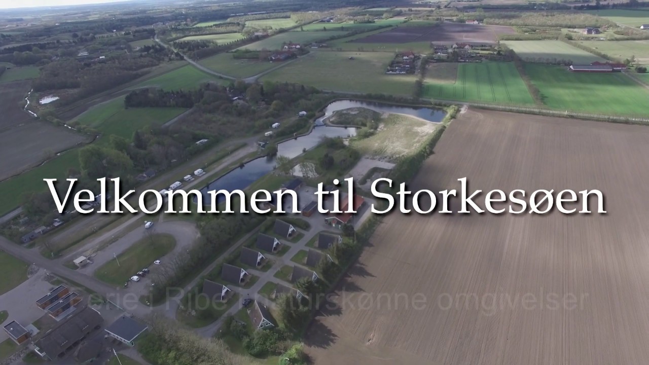 Storkesøen Ribe