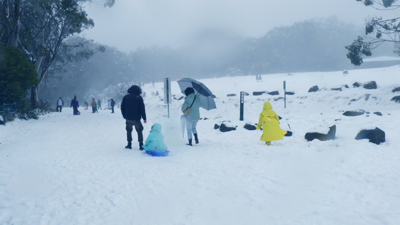 [4K] snowy winter walk just two hours from Melbourne - Mount Donna Buang, Victoria, Australia
