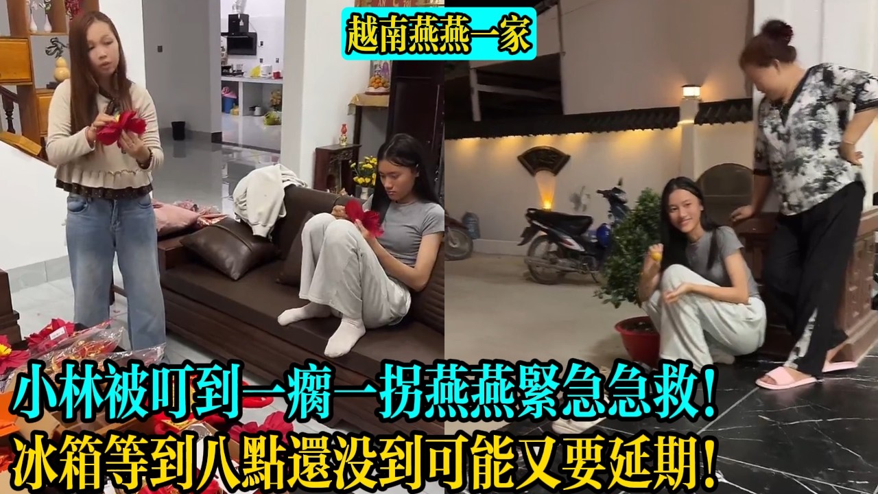 【越南燕燕一家】小林被叮到一瘸一拐燕燕緊急急救！冰箱等到八點還沒到可能又要延期！
