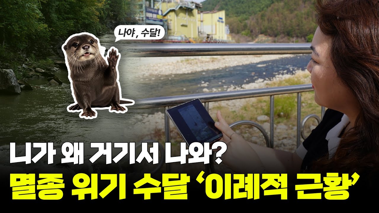 석포제련소 주위에서 발견된 의문의 생명체, 그 정체는?