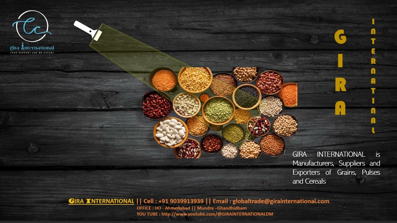 GIRA EXPORT IMPORT PULSES / GRAIN