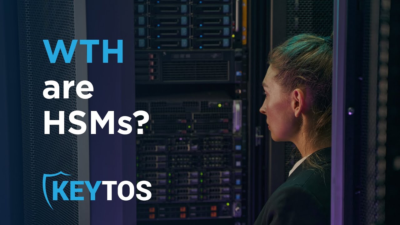 What are HSMs (Hardware Security Modules)?