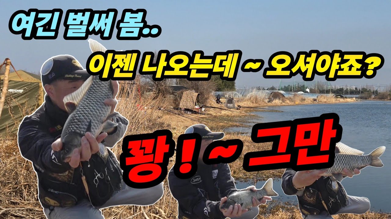 붕어낚시 , 머뭇거리다 늦어요.나올때 뽑으세요 겨울 물낚시 대물 천국.전국 낚시꾼 줄써서 낚는 곳, 월척 허리급 에서 4짜가 시도때도 없이.(Korean big fishing)