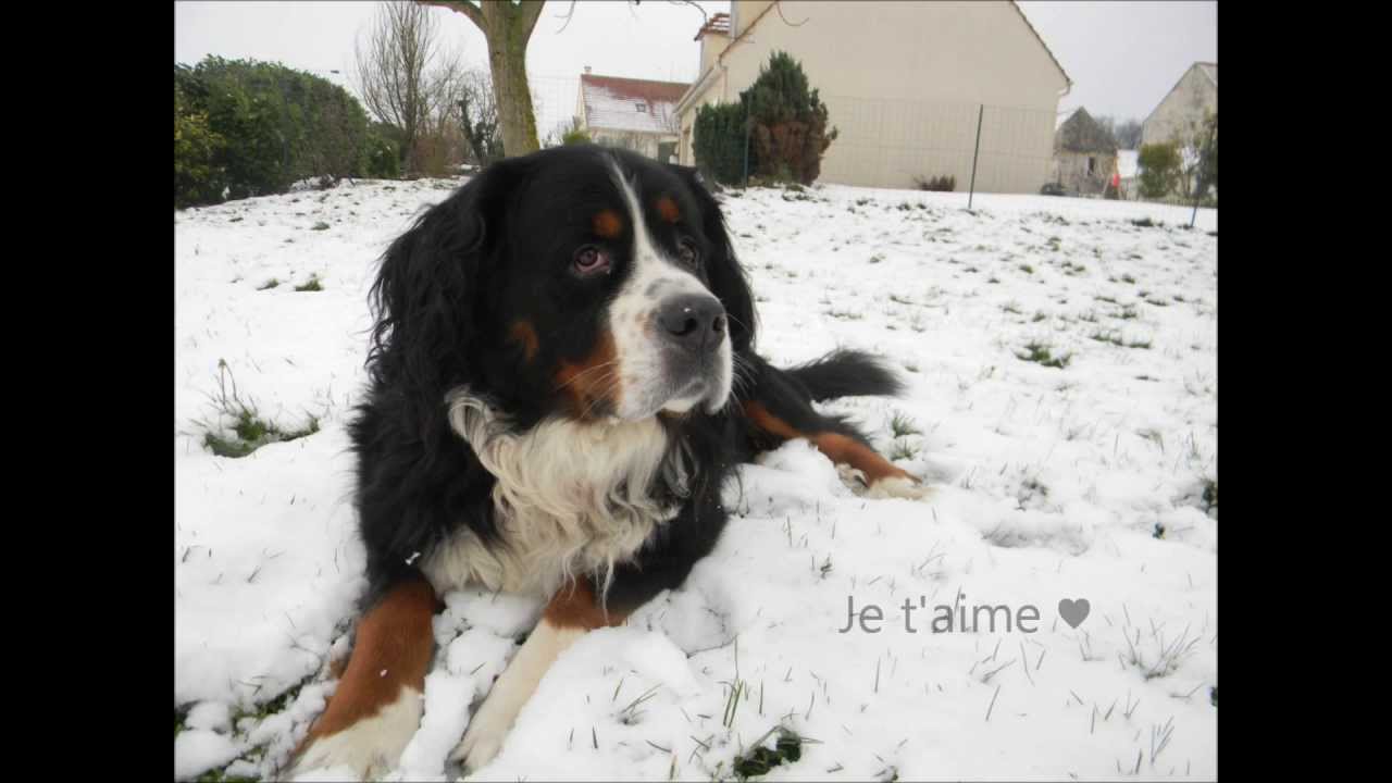 Hommage à mon Wanadoo ♥
