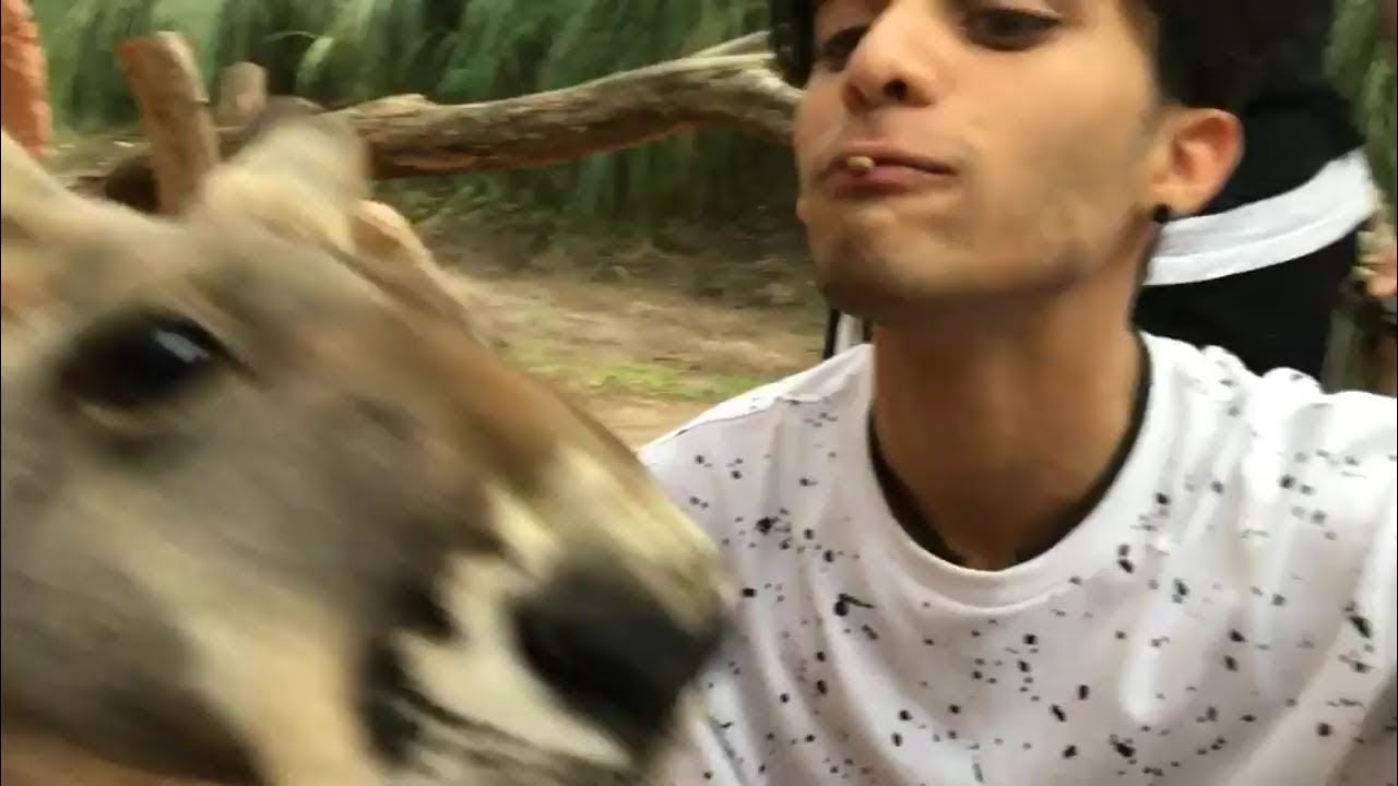 CNCO en el Zoológico desde el Instagram de Erick