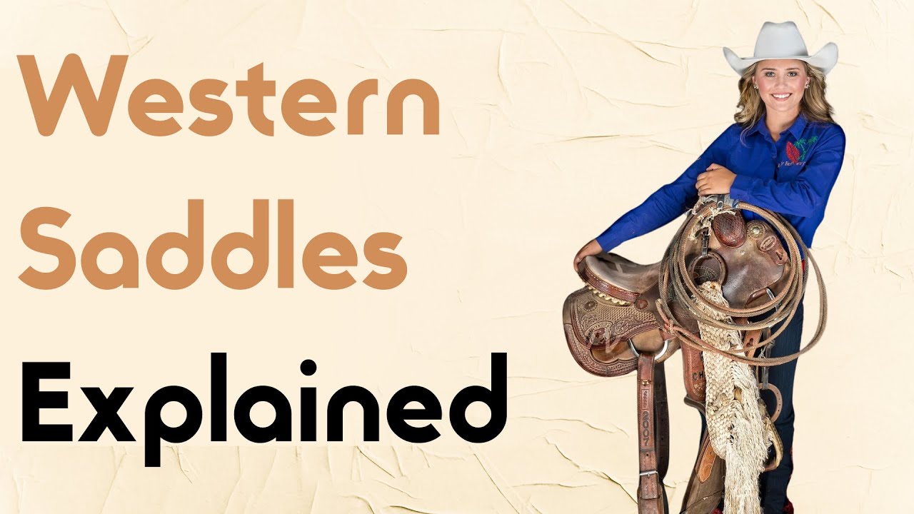 What Type Of Western Saddle Is Right For You?